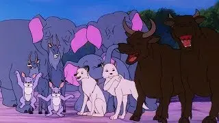 THE MEAT BALL CLUB - Simba Junior to the World Cup ep. 12 - EN