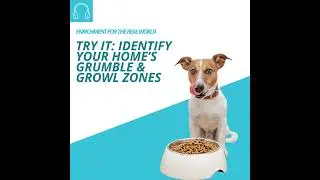 #134 - Try It: Identify Your Home's Grumble & Growl Zones