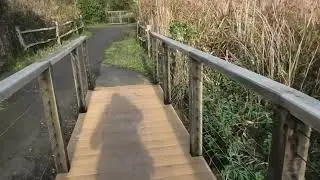 Reedbed and hide exploring 