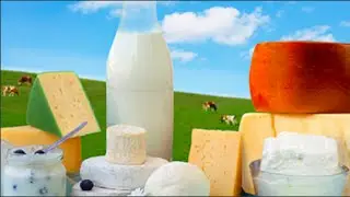 Everything You Need To Know About The Dairy Industry In 15 Minutes