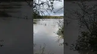 River burst its banks
