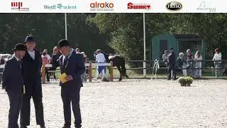 Fokdag | It Fryske Hynder | 16 Augustus 2025