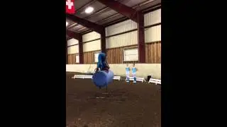Equestrian Vaulting - barrel freestyle - Medicine