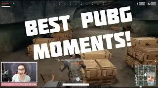 PAN KILLS & TK'S - BEST PUBG MOMENTS! | HayliNic