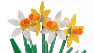 LEGO Daffodils 40646 review! Latest Botanicals Collection lower-cost sets