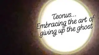 Teonus -- Over