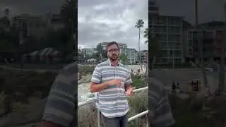 Welcome to my neighborhood ~ La Jolla 🦭