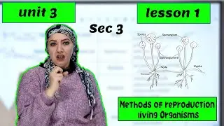 Biology Sec3 secondary Egypt 2024 - Unit 3 -lesson1 - Methods of reproduction in living Organisms