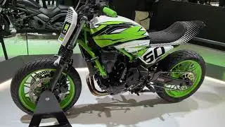 Amazing Custom Bike ! 2023 Kawasaki Z650 RS