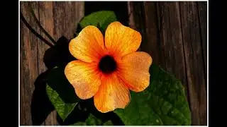 Canon EOS 2000D, SAMPLE PHOTOS