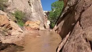 Hackberry Canyon, Grand Staircase-Escalante National Monument, Utah #canyon #hiking #utah