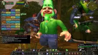 Classic WoW Saint Patrick's Day 2023 Gnome and Druid Hogger Raid.