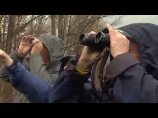 Wild SideTV - Roan Mountain State Park - Life Blooms on the Mountain
