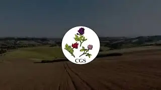 CGS Sementi  - Semi di Cereali a paglia e Foraggiere