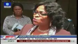 NIGER DELTA DEVELOPMENT