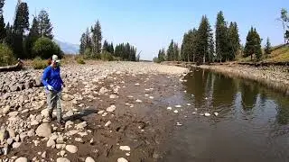 Yellowstone cutty on Lamar river