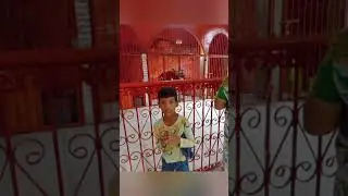 Durga tekdi traveling