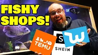 Сравнение продукции для аквариумов от Temu, Wish и Shein!