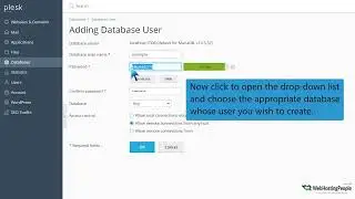 How to create a database username in Plesk   WebHostingPeople
