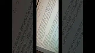 Протест Путина за погром отем аодн статуса летом и зимой суака регая Касту