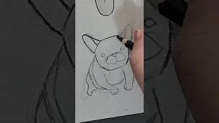 Como desenhar um cachorro bulldog franc&ecirc;s #drawing #sketch #aesthetic #art #easy #dog #bulldog