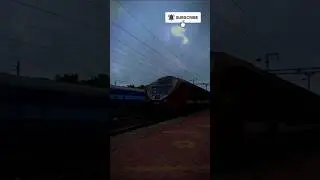The Great Train vs. Car Debate: A Hilarious Showdown