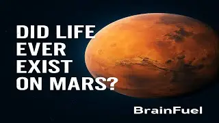 Did Life Ever Exist on Mars?