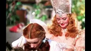 Wizard of Oz Ruby Red Shoes 