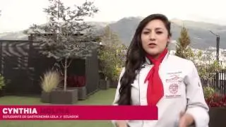 Kendall's Latin American Culinary Affiliates Program