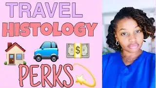 TRAVEL HISTOLOGY PERKS#Histology #Histotech #Histologystudents