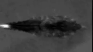 Cuttle Shuttle Analysis - Cropped and Aligned: Scar, Day 02, Tentacle Shot 02