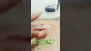 Live attack on fhish#fishattack #aj fhisher#snakehead /maral fhish catch/short video/