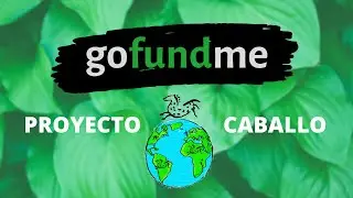 GOFUNDME - INTRODUCCIÓN DE CABALLOS EN ESPACIOS NATURALES