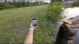 Testing Out Reaction Tackle High Vis Line with a BOOYAH Spinnerbait   #bassfishing #fishing