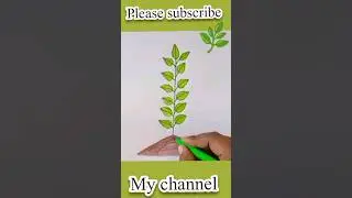 Climber plant 🌱 drawing #shorts#youtubeshorts #climber #tree#art#pencilcolors #markerdrawing