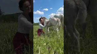 ЖИВУ В ДЕРЕВНЕ В 24 ГОДА🔥 #ферма #horse #деревня #лошади #конюшня #хутор