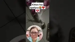 Kitten has epilepsy 😭💔 #kitten #seizures #sound #shortsviral #shorts
