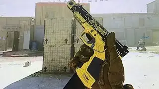 X16 gold montage