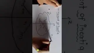 Rotational Dynamics : Lecture 9