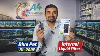 Blue Pet 200F Internal Liquid Filter Review | Best Filter for Small Aquarium | #aquarium