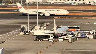 A350 Japan Airline Haneda Airport#haneda#shortsfeed #shortvideo #airplane #aviation #airport #travel
