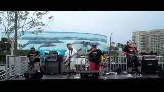 PUNK ROCK PICNIC