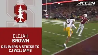 Stanford's Elijah Brown Delivers A Strike To CJ Williams