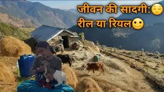 ​जीवन की सादगी: 😌 रील या रियल.......🙂#phadilifestyle #madhu negi vlog #MountainLife #Simplicity#vlog