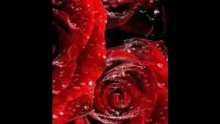 Piazzolla Lo que vendra  Duo Wine and Roses