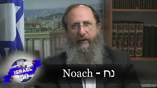 Weekly Torah Portion: Noach