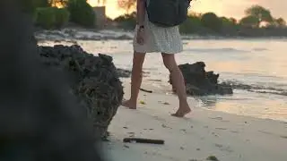 Songs for beach vibes | Beautiful girl walking on the beach | Neoni - Haunted House