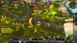 WoW Mists of Pandaria 5.0.5 - Demonology Warlock PvP