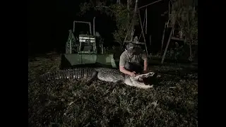 Alligator hunting in Mississippi