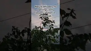 #naturewarning #youtube #youtubeshorts #ahemdabadplanecrash #unpredictablejourney